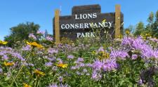 Lions Conservancy Park sign with purple and yellow flowers