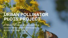Picture of a butterfly on a yellow flower with white text that says Urban Pollinator Plots Project in white text. 