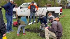 3 adults stand watching two children and two men plant a tree with the Fargo Parks truck in the background