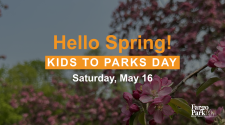 Hello Spring text over orchard tree blooms
