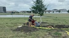 Three people work together on a landscaping project near a young tree, installing a wooden border around a planting area. A pile of soil, tools and caution tape surround the work area.